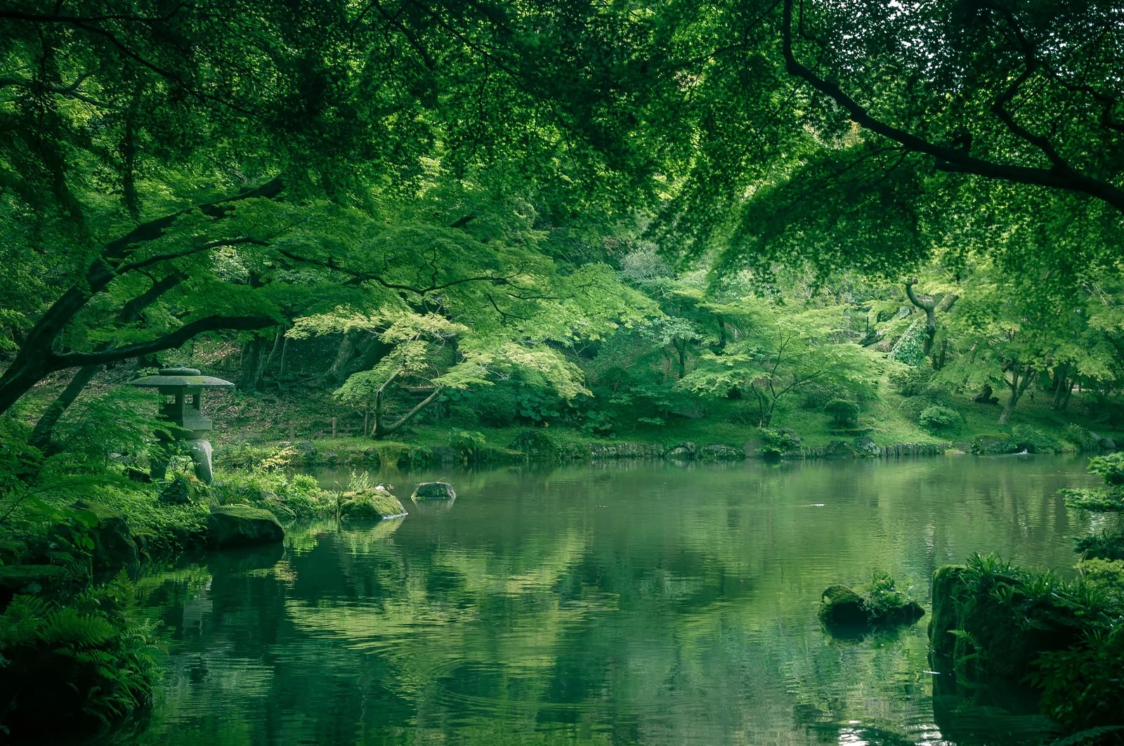 フリー画像ぱたくそ